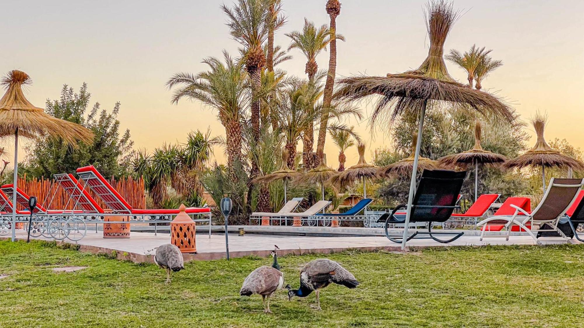 Le Bled De Gre Hotel El Makina Exterior foto